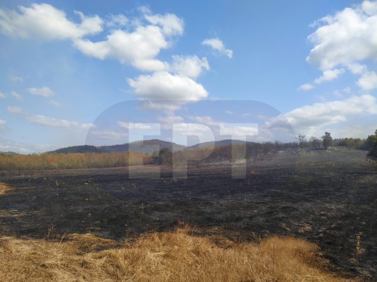 Αλεξανδρούπολη: Περιορίστηκε η φωτιά – Στάχτη 20.000 στρέμματα δάσους, η πρώτη εκτίμηση