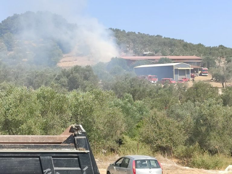 Λέσβος: Φωτιά σε κτηνοτροφική μονάδα έξω από το ΚΥΤ της Μόριας