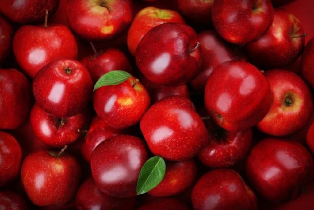 Ερώτηση Κ. Βελόπουλου για οικονομικά προβλήματα παραγωγών μήλων στη Φλώρινα