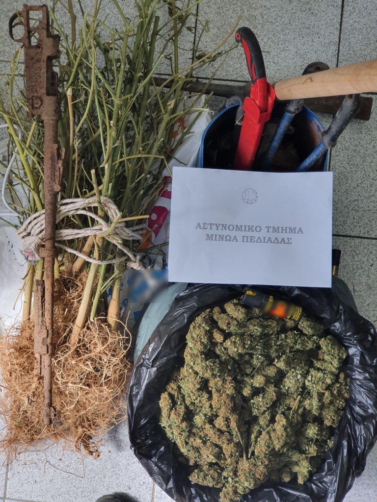 Ηράκλειο: Κατασχέθηκαν τέσσερα κιλά και 23 δενδρύλλια κάνναβης