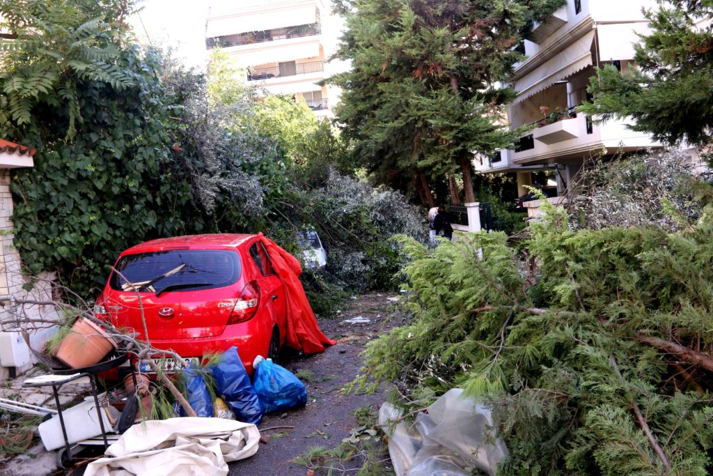 Πράσινες πρακτικές διαχείρισης των οργανικών αποβλήτων της φυσικής καταστροφής στα βόρεια προάστια