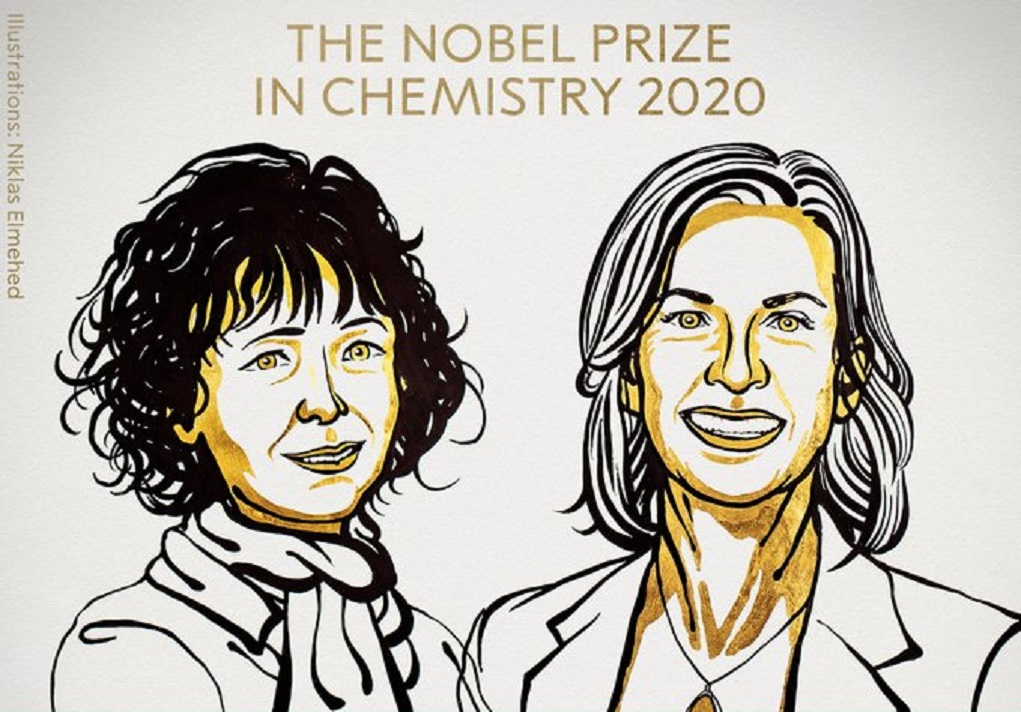 Σε δύο γυναίκες το Νόμπελ Χημείας 2020 για την “επανεγγραφή του κώδικα της ζωής”