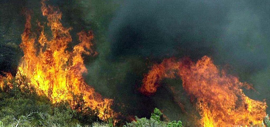 Καλύτερη η εικόνα της πυρκαγιάς στη Χρυσοκελλαριά Μεσσηνίας