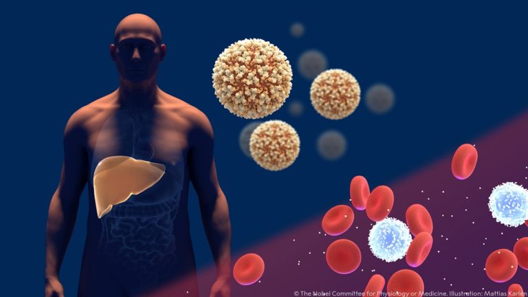 Το Βραβείο Νόμπελ Ιατρικής / Φυσιολογίας 2020 σε τρεις επιστήμονες, που ανακάλυψαν τον ιό της ηπατίτιδας C