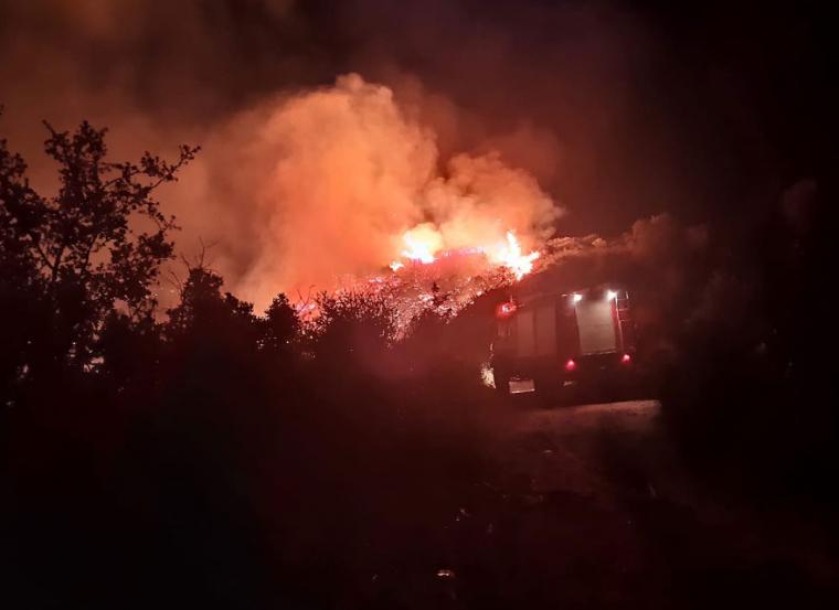 Μεσσηνία: Υπό μερικό έλεγχο η φωτιά στη Χρυσοκελλαριά