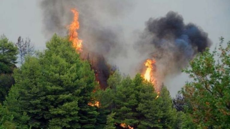 Χαλκιδική: Σε εξέλιξη πυρκαγιά σε δασική περιοχή στη Σιθωνία