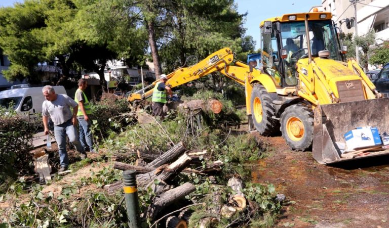 Πράσινες πρακτικές διαχείρισης των οργανικών αποβλήτων της φυσικής καταστροφής στα βόρεια προάστια