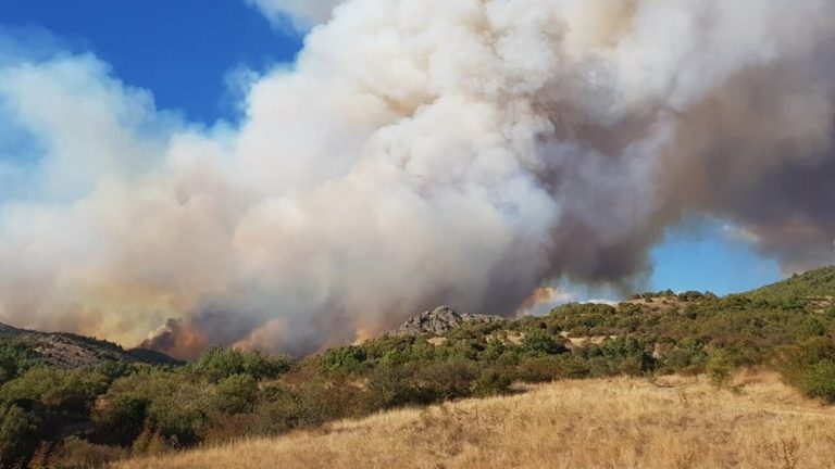 Ευθύνες στο στρατό για τη φωτιά στον Έβρο επιρρίπτει το WWF (video)