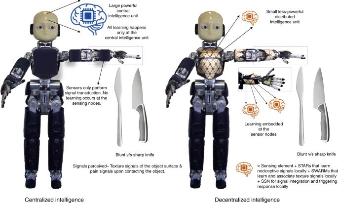 Σιγκαπούρη: Οι επιστήμονες σχεδίασαν ένα ρομπότ που νιώθει πόνο