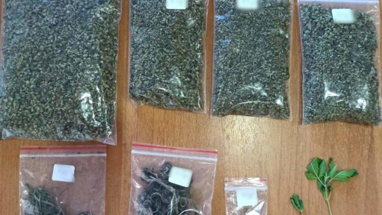 Δράμα: Συλλήψεις για καλλιέργεια και κατοχή ναρκωτικών