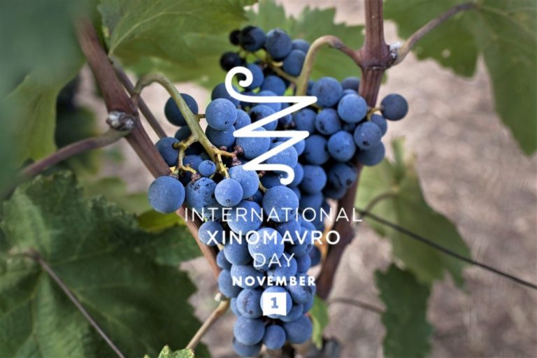 Ξινόμαυρο: Το κυρίαρχο κρασί της Βόρειας Ελλάδας αποκτά Παγκόσμια Ημέρα!