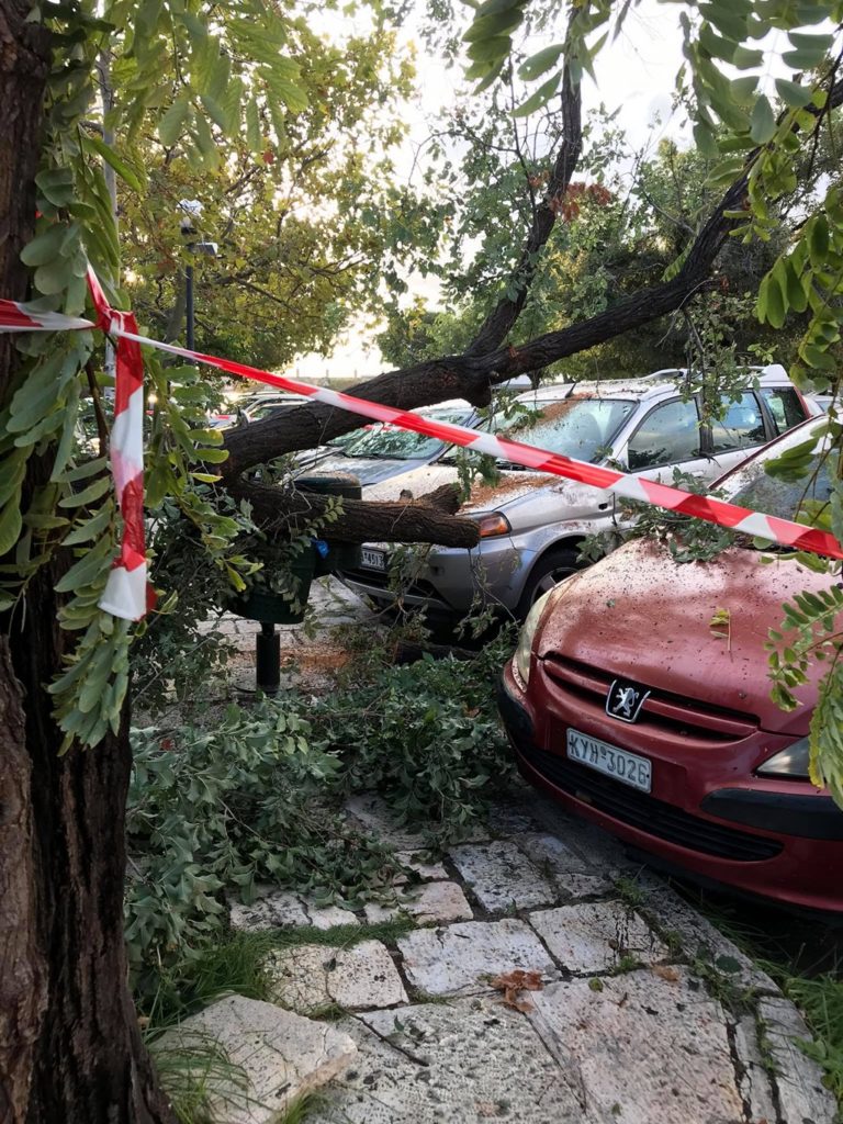 Κέρκυρα: Έπεσαν δέντρα στο Κοντόκαλι