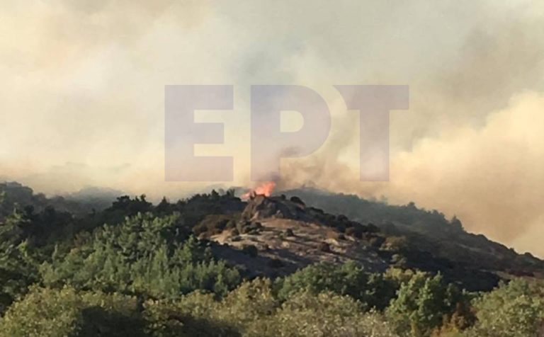 Κ. Δαδούσης: “Δώσαμε τιτάνιο αγώνα για να μην εξαπλωθεί η φωτιά στην καρδιά του εθνικού πάρκου  Δαδιάς»