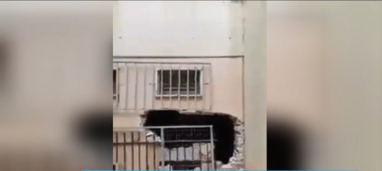 Κινηματογραφική διάρρηξη σε κυλικείο σχολείου στην Γκράβα (video)