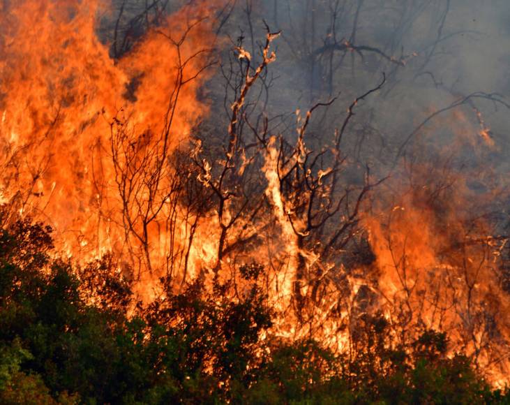 Σέρρες: Υπό δύσκολες συνθήκες η κατάσβεση φωτιάς έξω από τον Ελαιώνα
