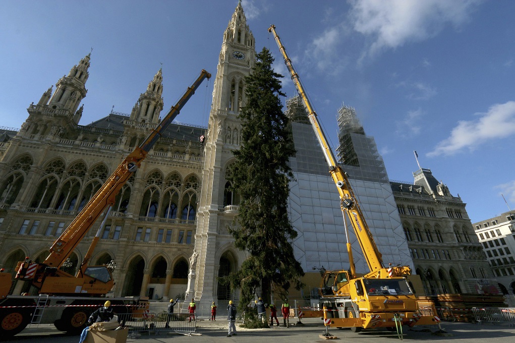Βιέννη: Τα χριστουγεννιάτικα αιωνόβια δέντρα “της αισιοδοξίας”