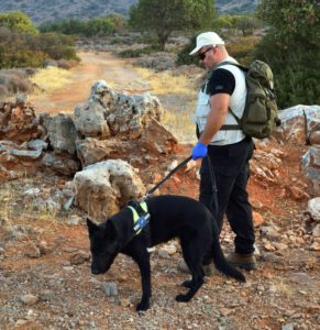 Κρήτη: Η «Ντάικα» και η «Καρίνα» που ανιχνεύουν φόλες