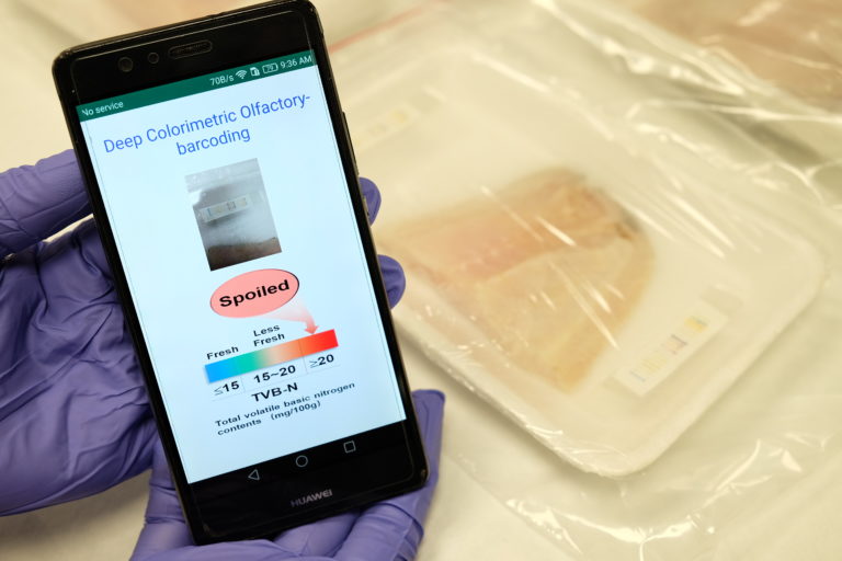 «Ηλεκτρονική μύτη» που λειτουργεί με τεχνητή νοημοσύνη εντοπίζει αλλοιωμένα τρόφιμα