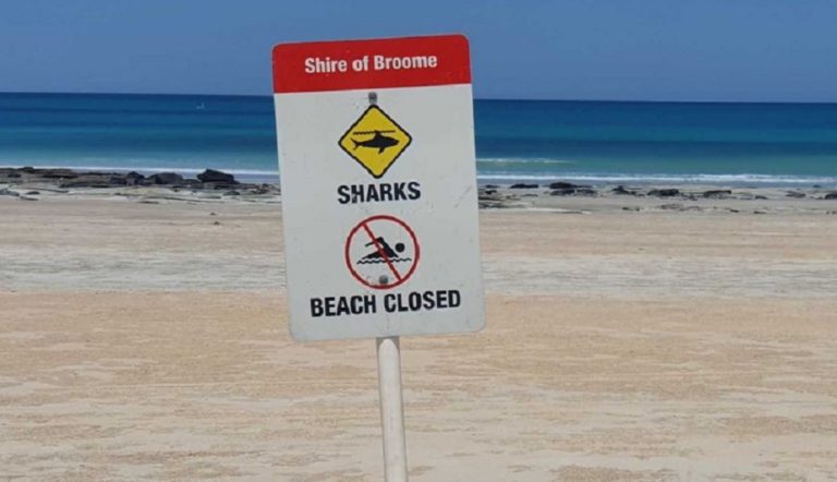 Νεκρός από επίθεση καρχαρία στη Δυτική Αυστραλία