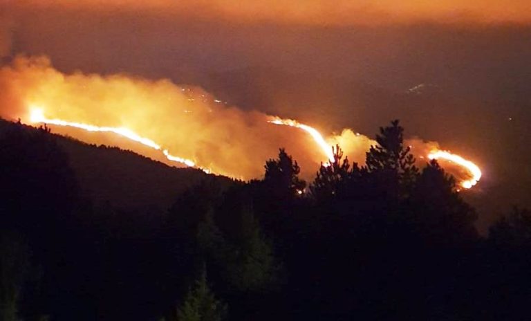 Υπό έλεγχο τέθηκε η πυρκαγιά στον Άγιο Πέτρο Αρκαδίας