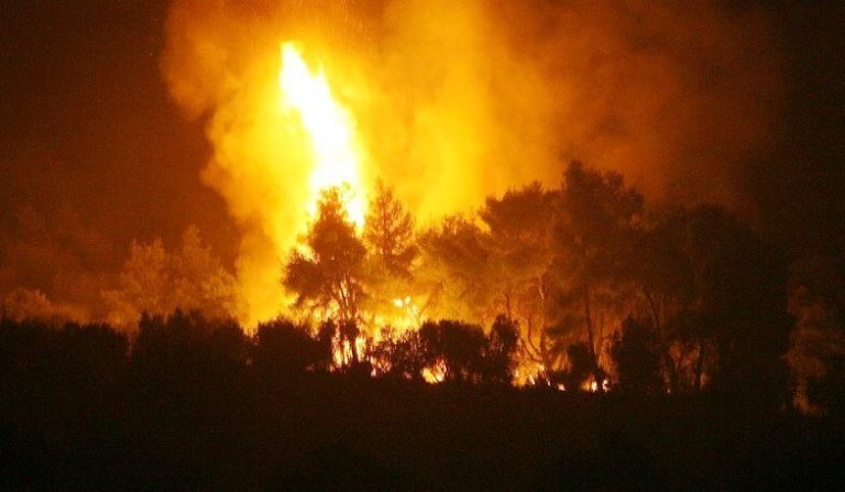 Πάτρα: Φωτιά κοντά στο χωριό Λάππα στη Δυτική Αχαΐα