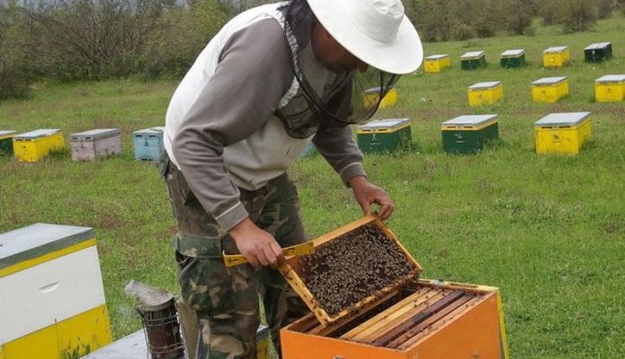 Επιστρεπτέα προκαταβολή και για μελισσοκόμους