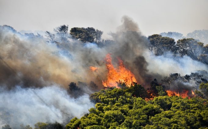 Πυρκαγιά σε δασική έκταση στα Στύρα Ευβοίας