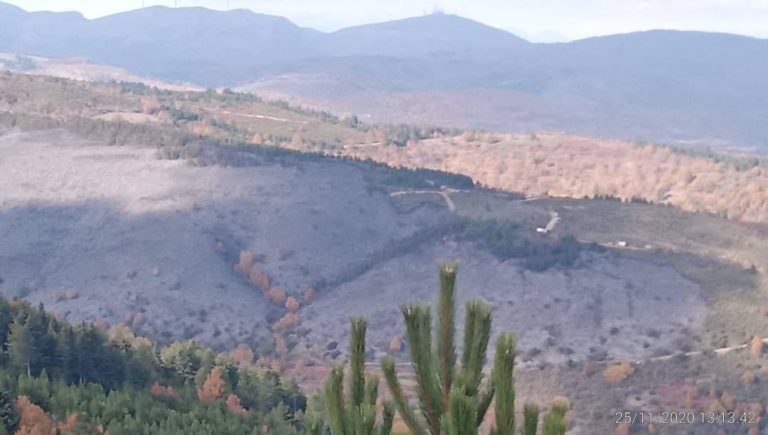 Η επόμενη ημέρα της πυρκαγιάς στον Πάρνωνα