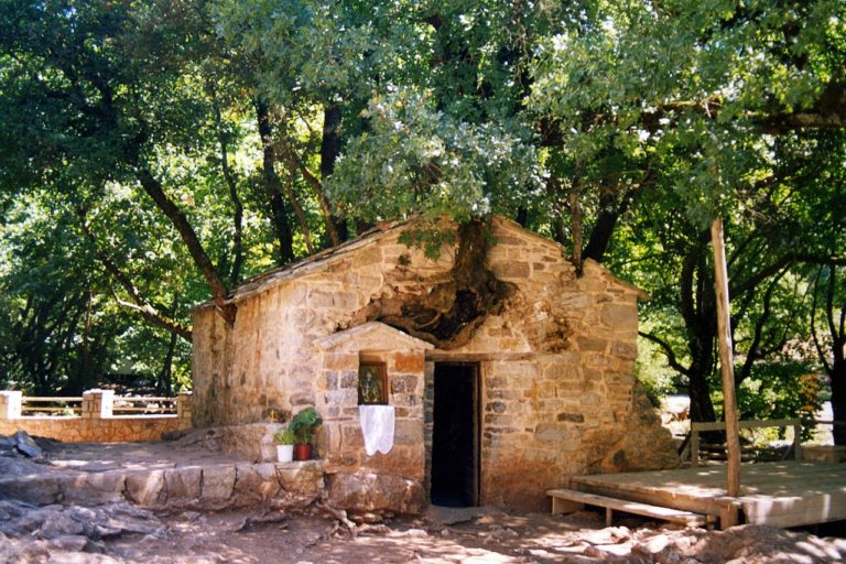Αρκαδία εκκλησία με… 17 βελανιδιές στη σκεπή της (video)