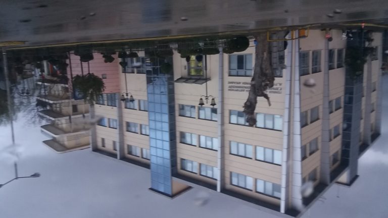 Συλλήψεις δύο ατόμων για καλλιέργεια φυτείας δενδρυλλίων κάνναβης στη Λακωνία