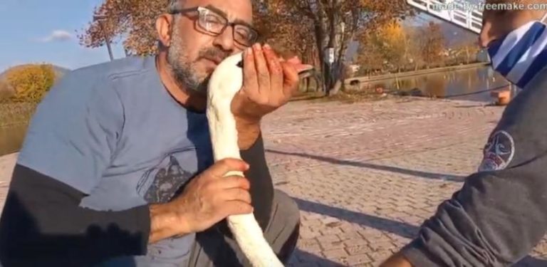 Καστοριά: “Τα μάτια ενός ζώου μιλούν μια σπουδαία γλώσσα” (video)