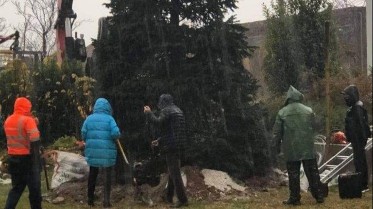 Θεσσαλονίκη: Φυσικό έλατο από την Ιταλία μεταφυτεύτηκε μπροστά από το κτίριο της Περιφέρειας Κεντρικής Μακεδονίας