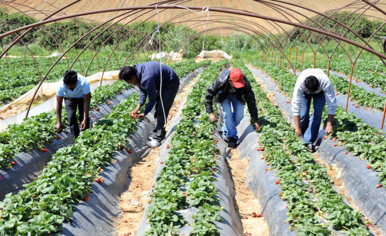 Χερσαία σύνορα: Ρυθμίσεις για τους εργάτες γης