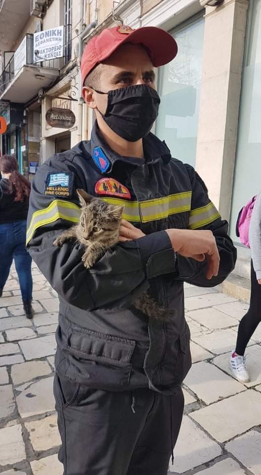 Κέρκυρα: Η Π.Υ. κατέβασε γάτο από δέντρο