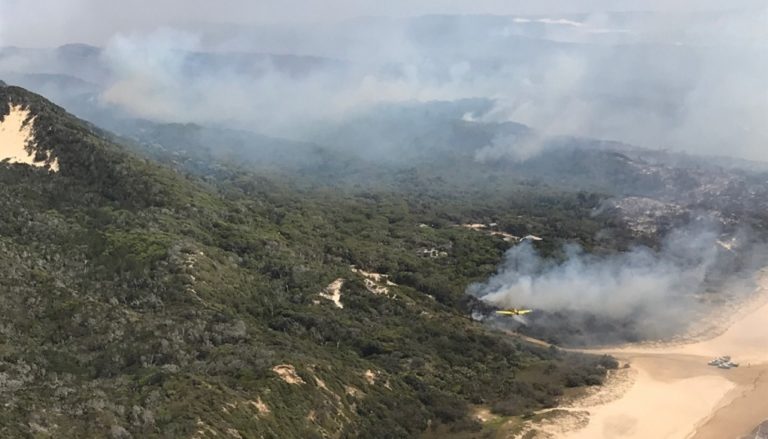 Κυρώσεις και μείωση επιδοτήσεων για όσους καίνε υπολείμματα καλλιεργειών