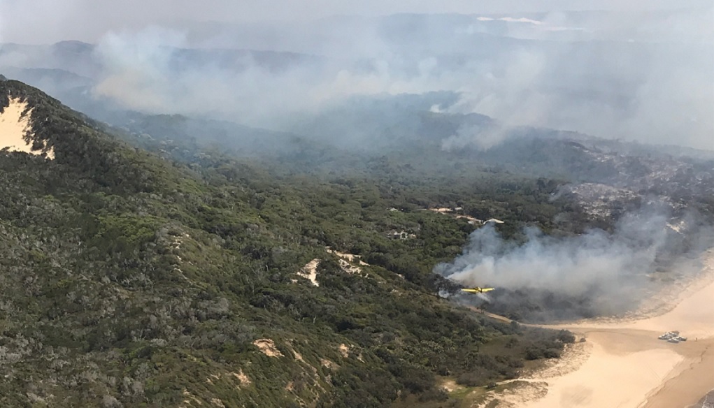 Αυστραλία: Οικολογική καταστροφή στη νήσο Φρέιζερ από μεγάλη πυρκαγιά
