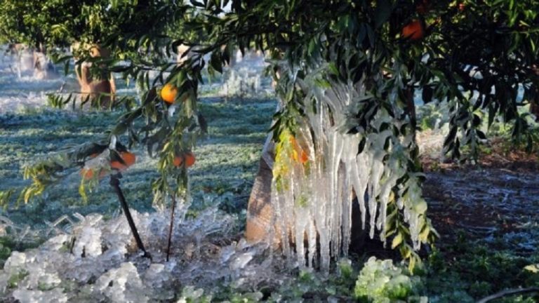 ΕΛΓΑ: Σήμερα η πληρωμή αποζημιώσεων 29,2 εκατ. ευρώ σε 12.803 δικαιούχους