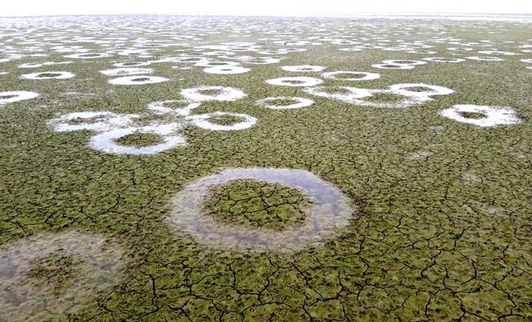 Λίμνη Κερκίνη: Όταν η φύση γίνεται… σκηνοθέτης επιστημονικής φαντασίας