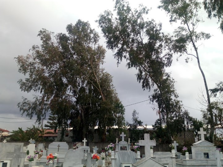 Γαστούνη: Ζημιές στο κοιμητήριο εξαιτίας των θυελλωδών ανέμων
