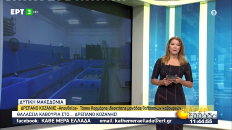 Θαλάσσια καβούρια…στο Δρέπανο της Κοζάνης (video)