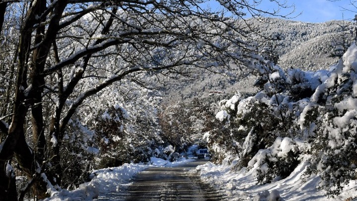 Θεσσαλονίκη: Μέχρι την Τρίτη θα διατηρηθεί ο παγετός σε περιοχές της Μακεδονίας
