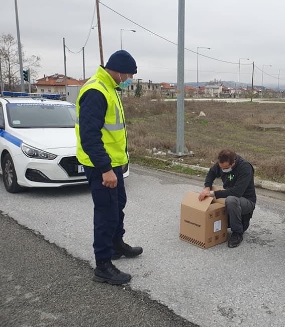 Σέρρες: Αστυνομικοί της Τροχαίας με τον Φ.Ο.Σ διέσωσαν μια γερακίνα