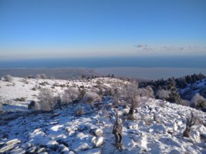 Στα λευκά ο Κίσσαβος