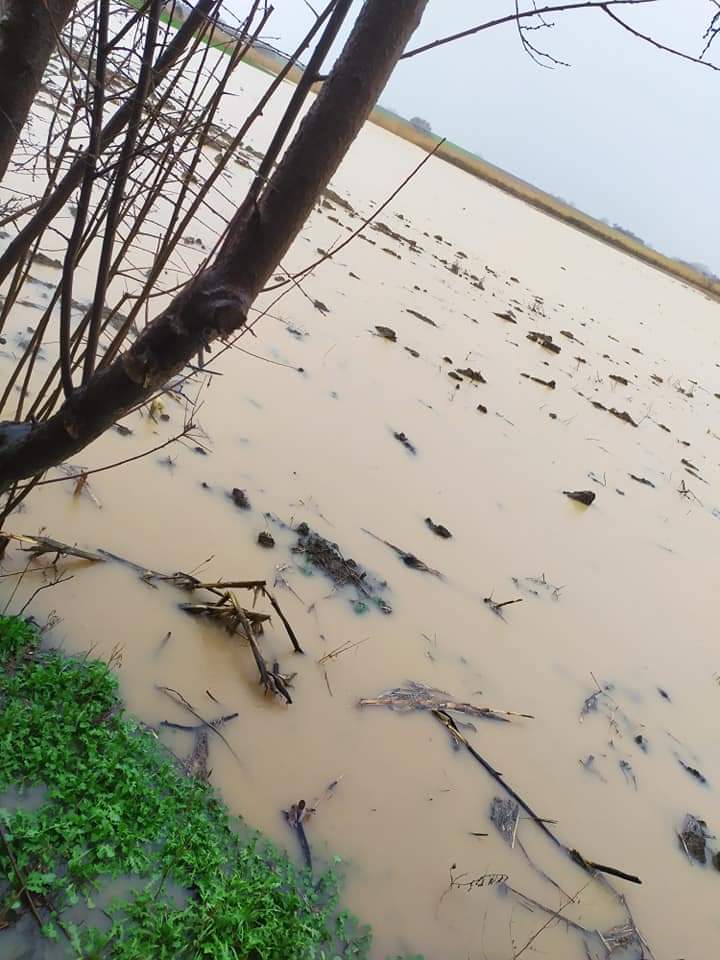Έντονα πλημμυρικά φαινόμενα σε όλη την αν. Ροδόπη – Επιχείρηση διάσωσης κτηνοτρόφου στην Αρίσβη