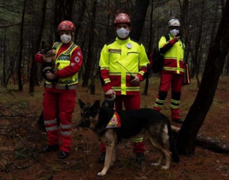 Επανεκκίνηση της Κυνοφιλικής Ομάδας Έρευνας και Διάσωσης του Ε.Ε.Σ.