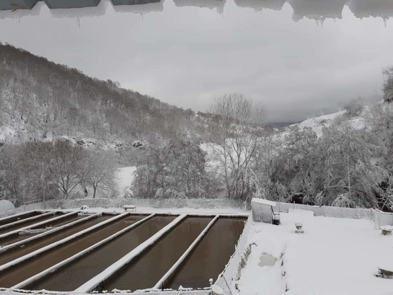 Χιόνισε στην Ορεινή Ροδόπη: Αποκλεισμένοι οικισμοί σε  Οργάνη και Κέχρο – Κλειστά τα σχολεία