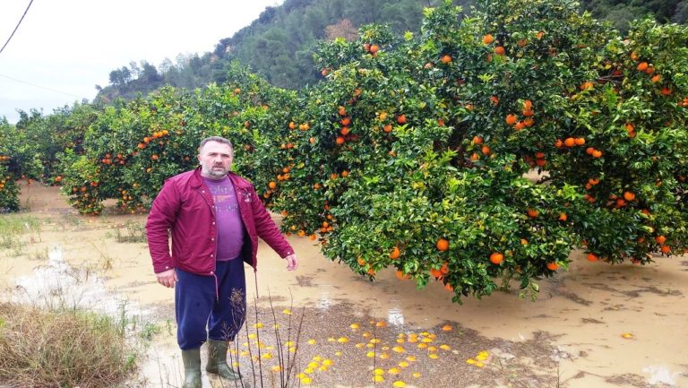 Ηλεία: Μεγάλες καταστροφές από τις βροχοπτώσεις