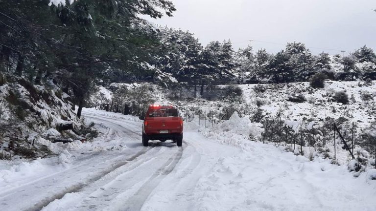 ΚΙΝΑΛ για “Μήδεια”: Καθυστερήσεις και ανεπάρκεια της κυβέρνησης