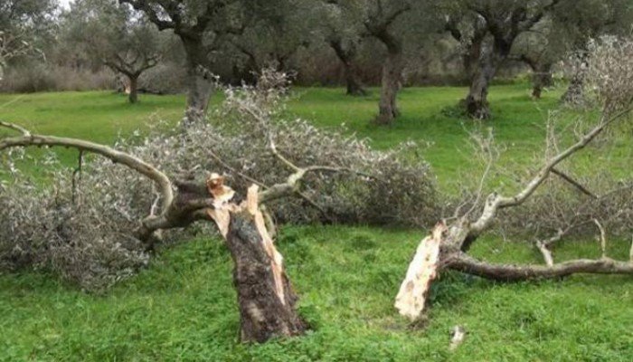 Αναγγελία ζημιάς της Δ.Ε. Θερίσου