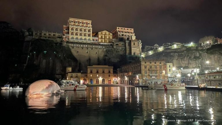 Η νεκρή φάλαινα στο Sorrento (πηγή: repubblica.it/Antonino Maresca AMP, Parco marino di Punta Campanella)